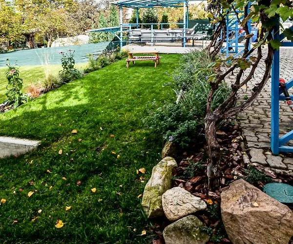 Squash Dependance 3*